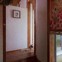 reel画像