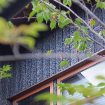 reel画像