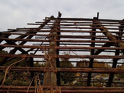 P2010033