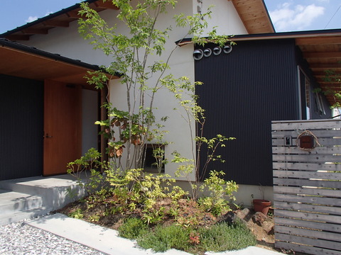 258d53cd.jpg