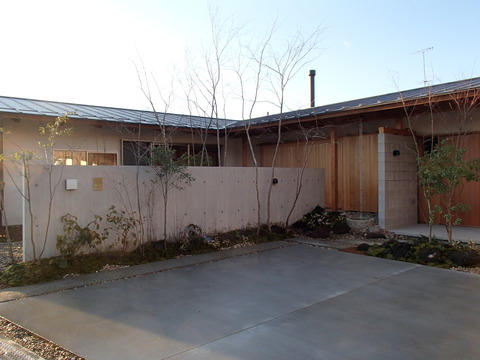 3202d93c.jpg