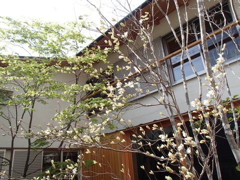 3e1c6027.jpg