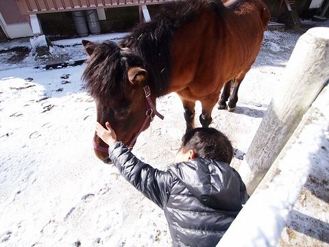 20131228103937