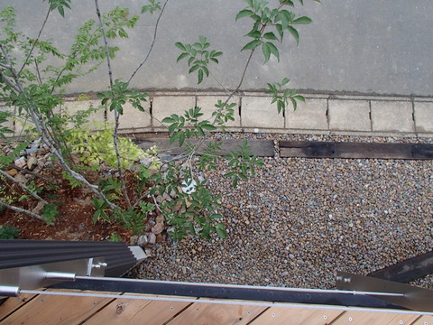 535e95b2.jpg
