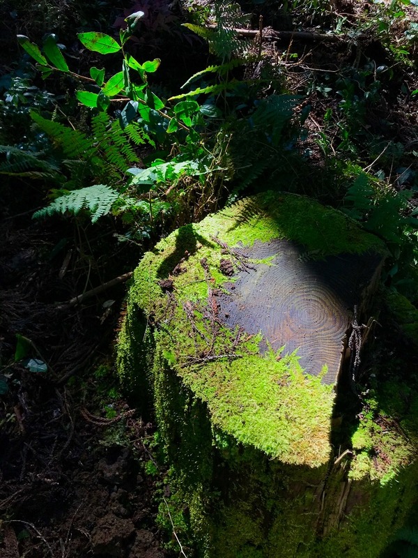 02-1