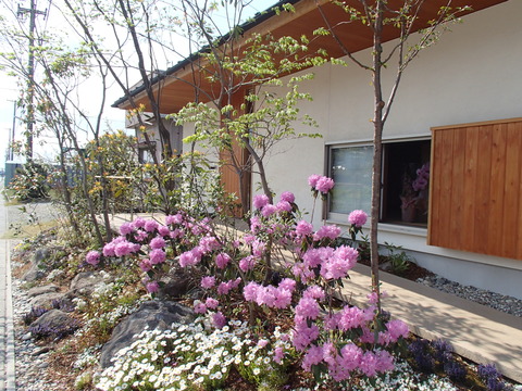 94a406b6.jpg