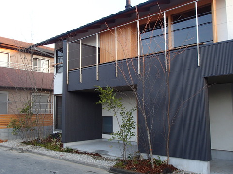 97acee33.jpg