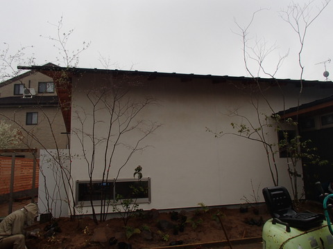 c61e97db.jpg