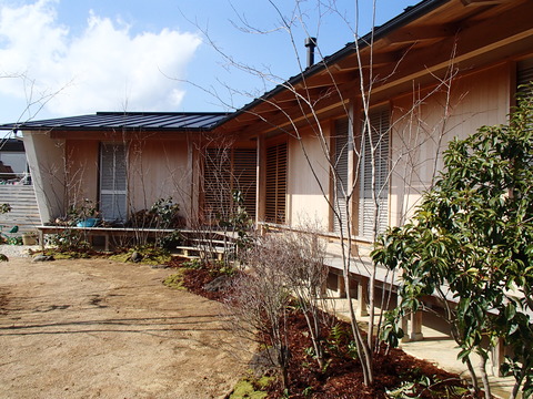 c8176302.jpg