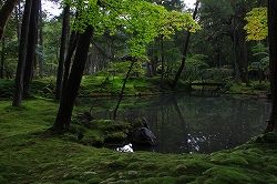 IMG_7388