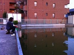 IMG_0884