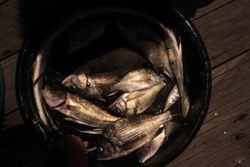IMG_5854