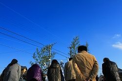 IMG_9524