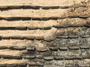 IMG_6822
