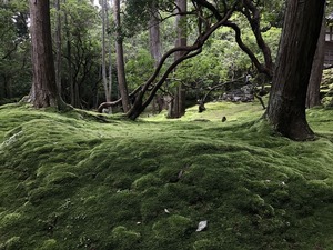 IMG_6751