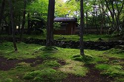 IMG_7378