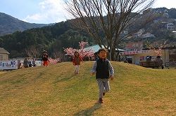 IMG_8964