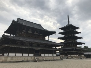 IMG_6865