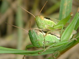 9ebb73a0.JPG