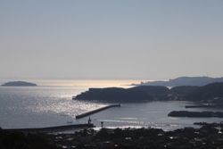 IMG_0880
