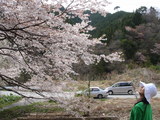 b1404d8a.JPG