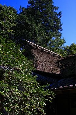 IMG_6682