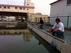 IMG_0888