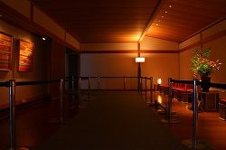 IMG_6687