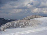 美ヶ原　風景