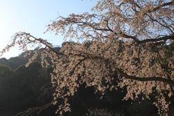 IMG_0886