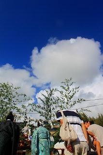 IMG_0372