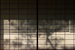 IMG_6732